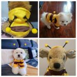 Bee design pet hoodie for small pets, 1 unit - Image 13