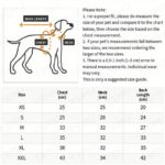 Dog clothes autumn and winter style dog apparel, 1 unit - Image 5