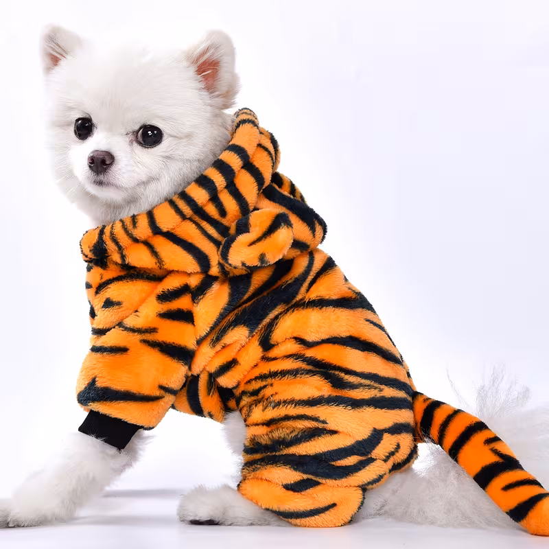 Dog Clothes Autumn and Winter Style Dog Apparel Teddy Corgi Pomeranian Bichon Tiger Transformation Costume Pet Clothing