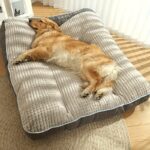 Dog Beds for Large Dogs – Super Warm & Comfortable Pet Mattress - Image 4